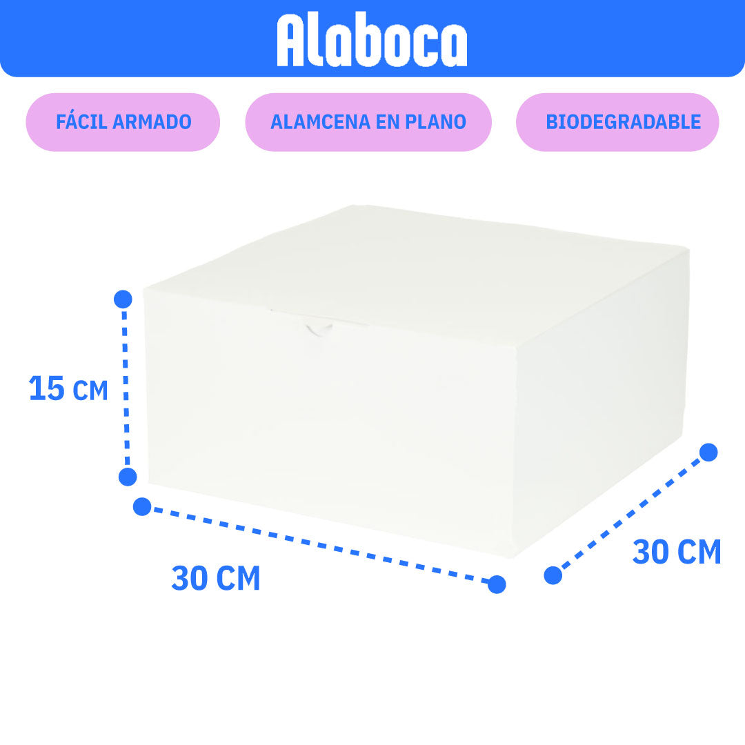 Caja para pastel XL